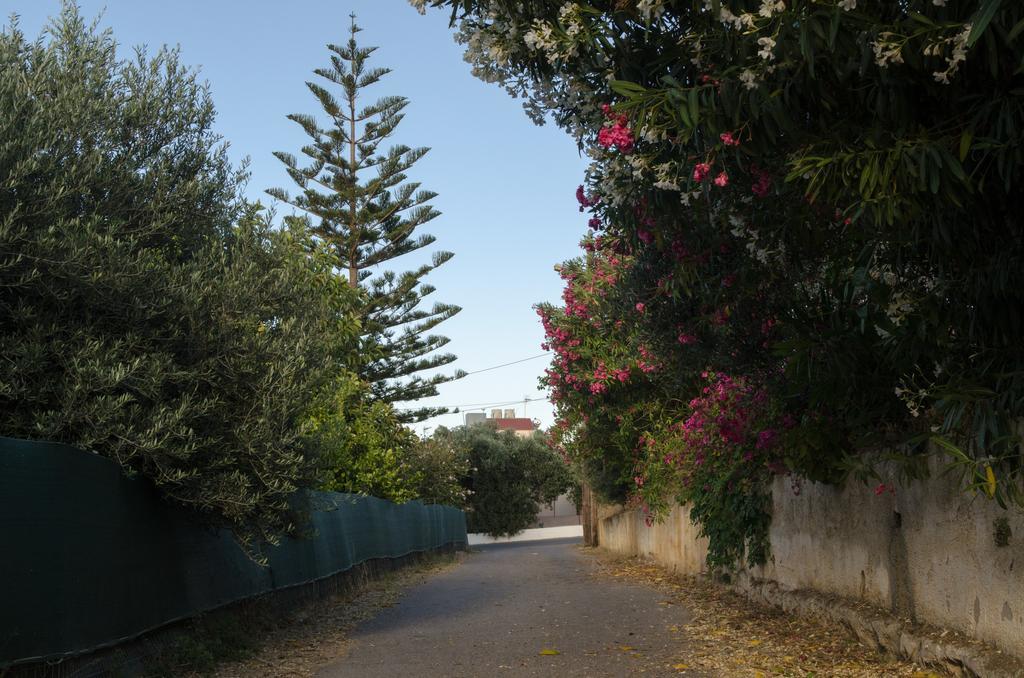 Iokasti Homes Kato Galatas Buitenkant foto